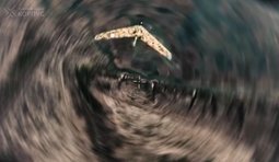 Пилоты 10-го армейского корпуса сбили 20 российских беспилотников