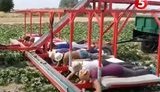 Официальное трудоустройство за рубежом не всегда застрахует от труда в нечеловеческих условиях, - эксперты