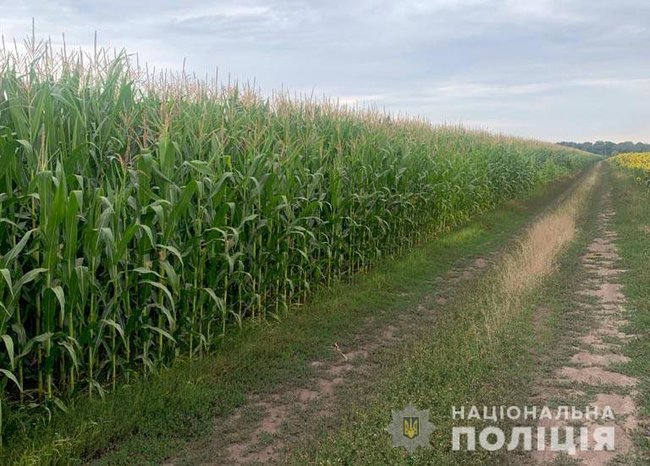 Поиски полтавского террориста Скрипника: Работу полицейских усложняют персональные навыки разыскиваемого и специфика ландшафта 06