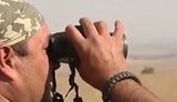 м боец сектор