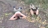 Полонені росіяни