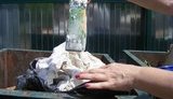 Родители инфицированных сальмонеллезом детей в садике на Киевщине в ужасе от того, чем их кормили. ФОТОрепортаж