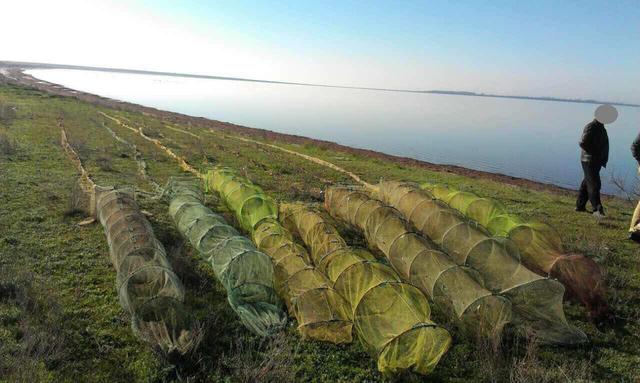 6 браконьєрів наловили риби майже на 300 тис. грн 04 6 браконьєрів наловили риби майже на 300 тис. грн 04