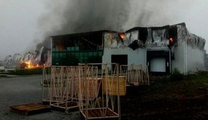 В Одесской области сгорел цех крупного производителя чеснока