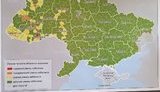 Поділ України на карантинні зони: нові правила набули чинності. ПЕРЕЛІК