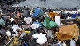 Держекоінспекція нарахувала 2 мільярди збитків довкіллю з початку року