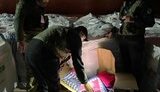 Пограничники обнаружили в Николаевском порту рекордный груз контрабанды. ФОТО