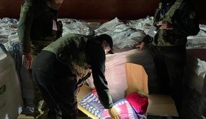 Пограничники обнаружили в Николаевском порту рекордный груз контрабанды. ФОТО
