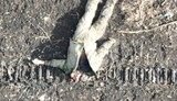 Russian man was run over by tracked armoured vehicle