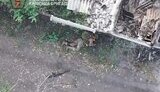 війна