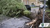 Друга буря за тиждень промчала над Львовом. У місті не працює електротранспорт. ФОТОрепортаж