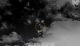 Боєць із позивним Халк з підрозділу Bulava ББС ОПБр збив 20 шахедів під час атаки 24 березня