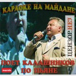 Караоке на майдане