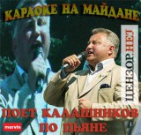 Караоке на майдане