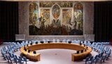 Россия наложила вето на резолюцию Совбеза ООН о климате и безопасности. США смущены