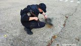Occupiers shelled Dnipropetrovsk region: houses were destroyed