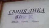 межигорье