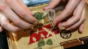 Легальный рынок марихуаны в США может вырасти до $40 миллиардов за 4 года