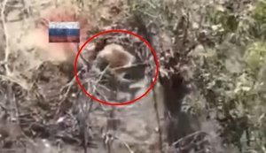 Оккупант получил пулю в голову во время ближнего боя с украинскими десантниками на Александровском направлении. ВИДЕО
