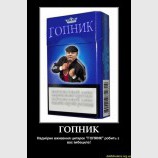 Гопник