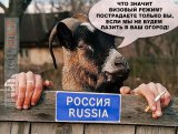 Аргументы Кремля