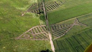 У полі на українсько-польському кордоні створили гігантських риб. ФОТОрепортаж