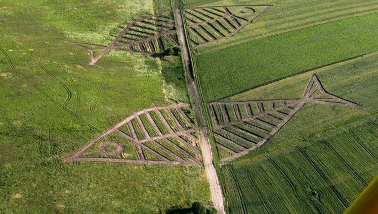 У полі на українсько-польському кордоні створили гігантських риб. ФОТОрепортаж