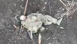 ликвидированный россиянин в торецке