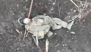 Операторы дронов подразделения "Хищник" Нацполиции уничтожают сбросами оккупантов в Торецке. ВИДЕО