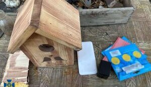 She spied on echelons of Armed Forces of Ukraine through "video trap" in birdhouse: SSU detains Russian agent in Dnipro. PHOTOS