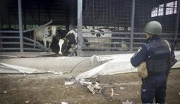Атаки РФ на Сумщину: двоє загиблих та 15 поранених