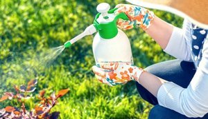 Аграрії України забезпечені засобами захисту рослин на 85%: де найбільший дефіцит?