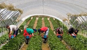 Власти Финляндии просят Украину разрешить выезд для 15 тысяч работников