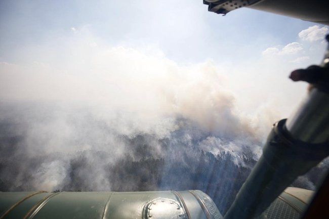 Рассматриваются две версии возникновения пожаров на Житомирщине - суховеи и умышленный поджог, - Аваков 04