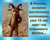 Год плешивого козла