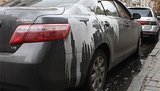 БЮТовцу облили машину кислотой: чиновники вели себя "крайне агрессивно". ФОТОрепортаж