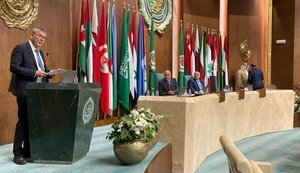 Ліга арабських держав пропонує стати посередником у переговорах між Україною і РФ