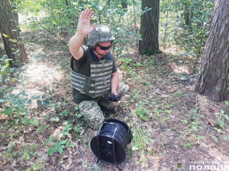 Вибухотехніки знешкодили бойову частину ворожого БПЛА