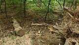 Российский боеприпас обнаружили в лифтовой шахте Киева