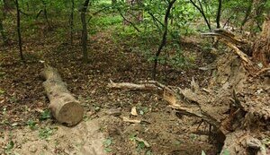 Взрыв прогремел в Киеве: правоохранители обезвредили кассетный боеприпас РФ. ФОТОрепортаж