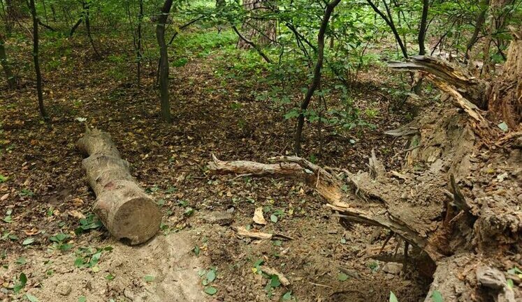 Взрыв прогремел в Киеве: правоохранители обезвредили кассетный боеприпас РФ. ФОТОрепортаж