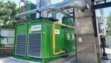 cogeneration plant