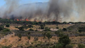 МЗС попереджає українців про небезпеку поїздок до Греції через пожежі