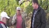 Yefremov is a Bandit Who Ravaged our City but We Will Vote for Party of Regions, Stakhanov Residents. VIDEO
