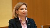 Айвазовская объяснила, почему проведение парламентских выборов во время войны противоречит Конституции
