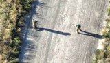 У районі Покровська прикордонники взяли в полон 61-річного росіянина