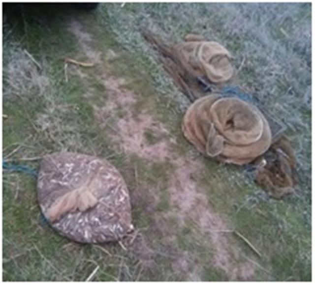 Браконьеры в Черном и Азовском морях незаконно наловили рыбы на 165 тыс. грн 01 Браконьеры в Черном и Азовском морях незаконно наловили рыбы на 165 тыс. грн 01