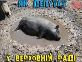 Счастье
