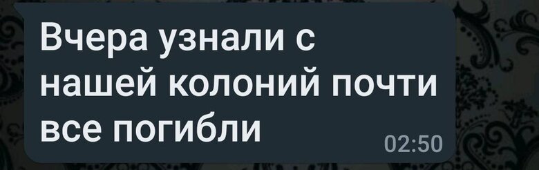 Родственники российских зэков, которых завербовали воевать в Украине, удивляются, что деньги не платят и не вывозят тела, - журналистка Романова 02