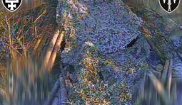 Бійці батальйону SIGNUM уразили артилерію рашистів на Лиманському напрямку